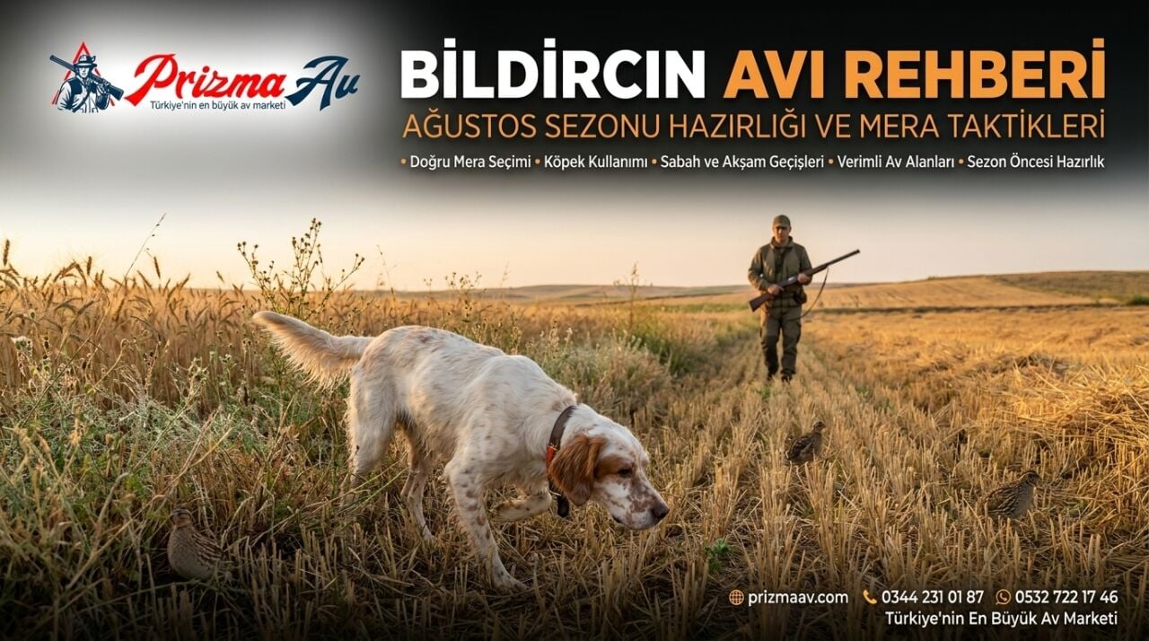 Bıldırcın Avı Rehberi: Ağustos Sezonu Hazırlığı ve Mera Taktikleri
