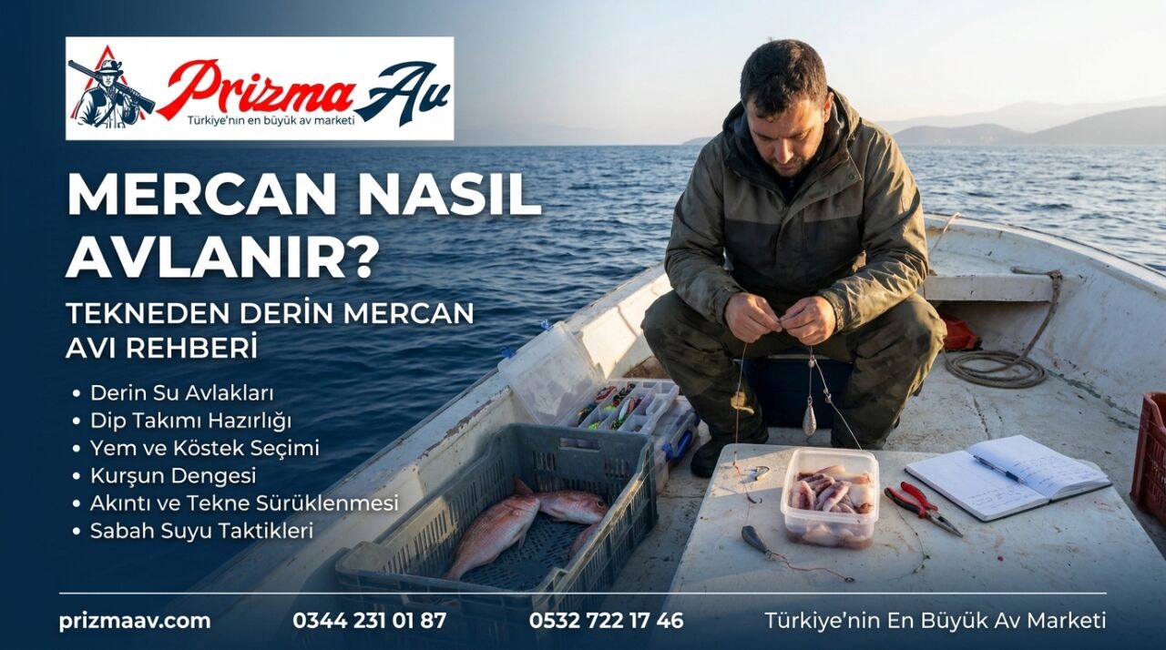 Sinarit Nasıl Avlanır? Big Game Sinarit Avı İçin Kapsamlı Rehber