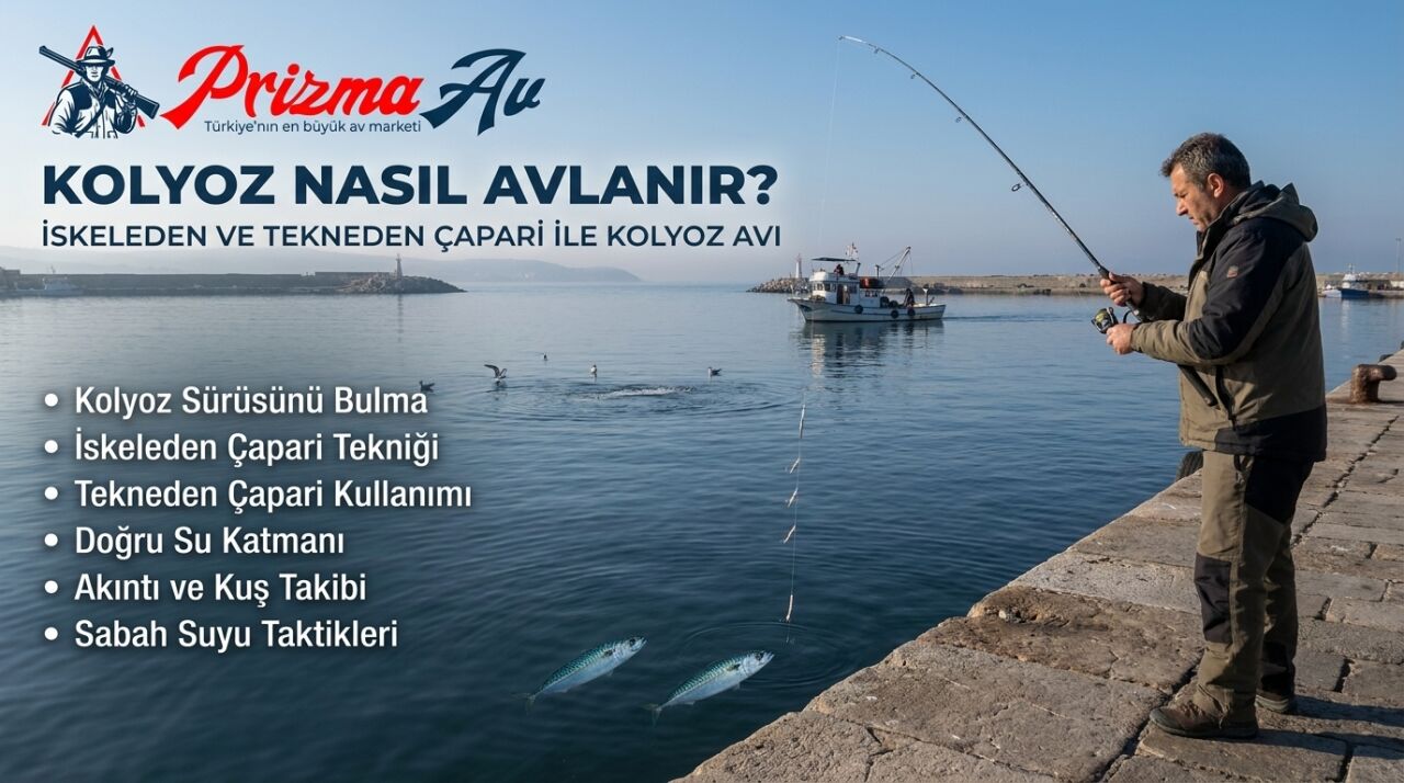 Kolyoz Nasıl Avlanır? İskeleden ve Tekneden Çapari ile Kolyoz Avı