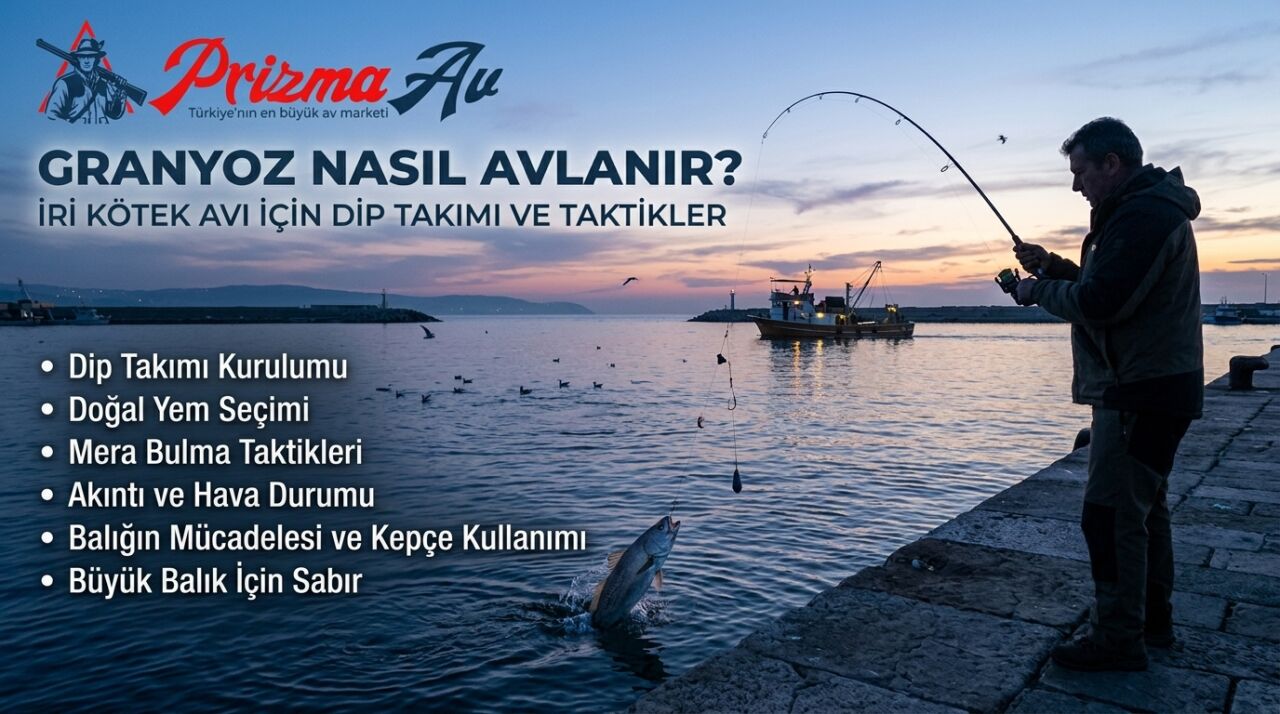 Granyoz Nasıl Avlanır? İri Kötek Avı İçin Dip Takımı ve Taktikler