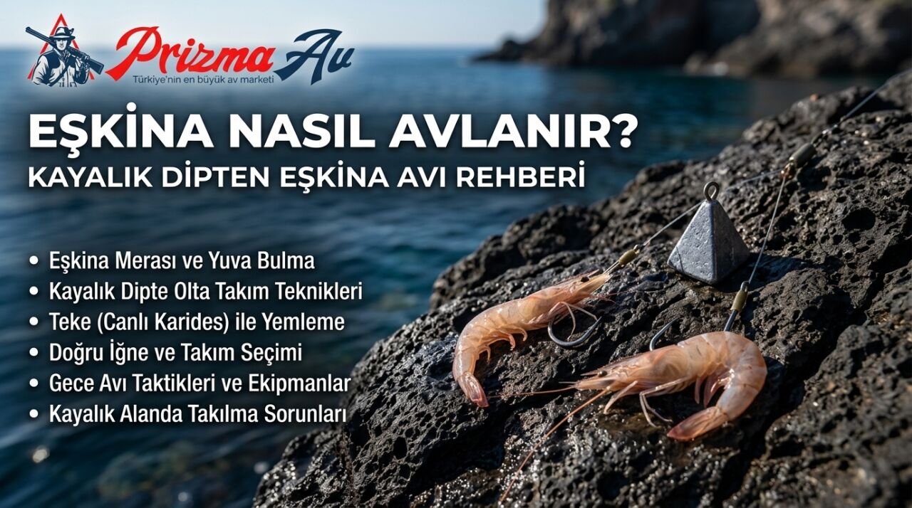 Eşkina Nasıl Avlanır? Kayalık Dipten Eşkina Avı Rehberi