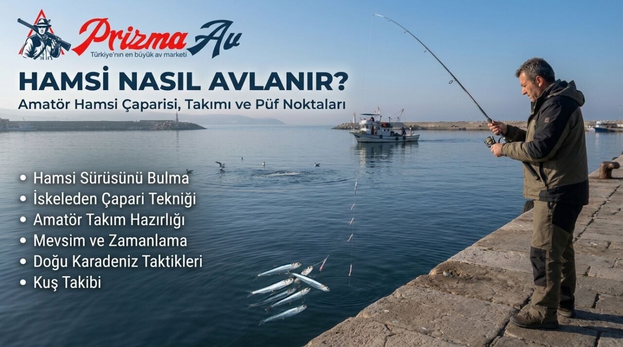 Hamsi Nasıl Avlanır? Amatör Hamsi Çaparisi, Takımı ve Püf Noktaları