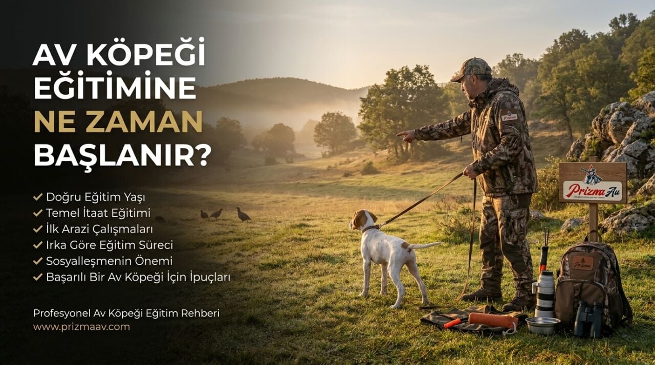 Av Köpeği Eğitimine Ne Zaman Başlanır?