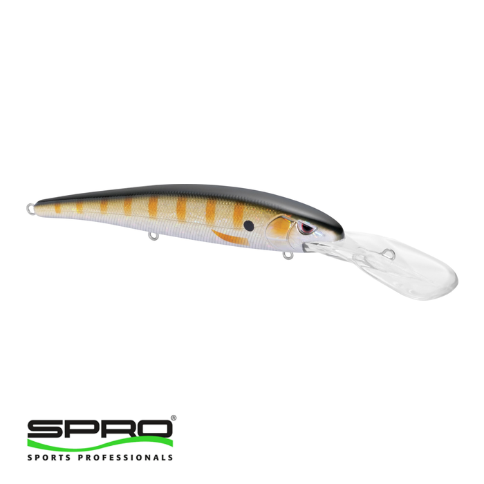 SPRO Madeye Minnow 120 Perch Sert Yem