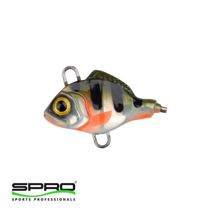SPRO Asp Spinner UV Natural Perch 7G Jig -Roach