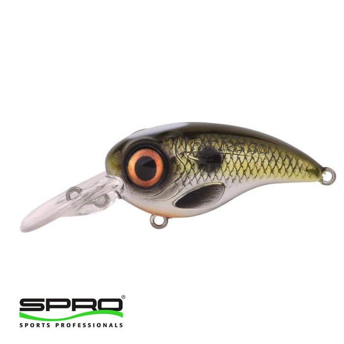 SPRO Fat Irıs CR Shad 5CM 11G Sert Yem