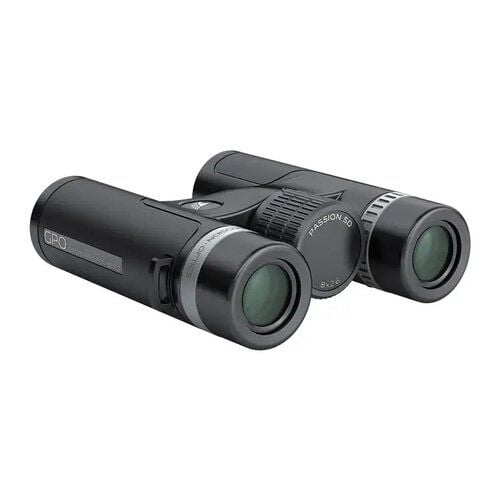 PASSION 8x34 SD