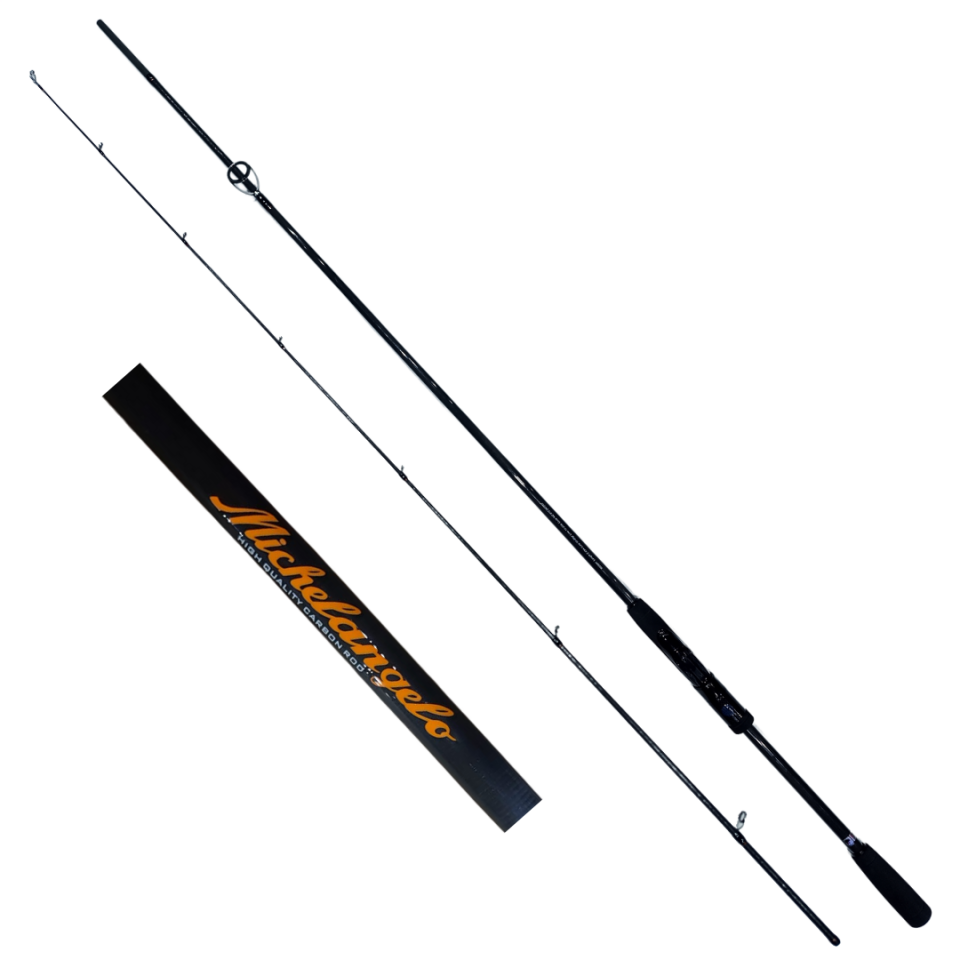 DFT Michelangelo 243 cm Olta Kamışı 10-20 g